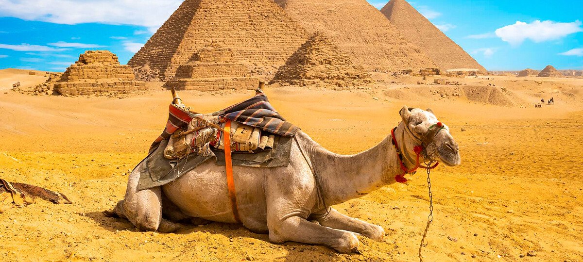 temp in egypt in january