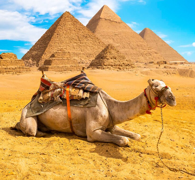 temp in egypt in january